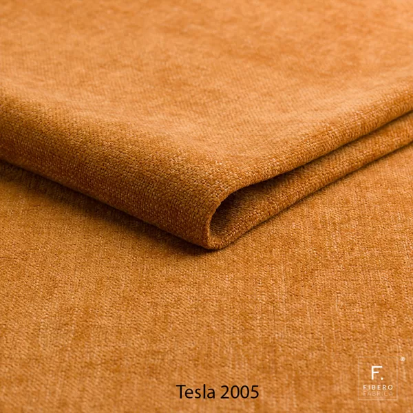 Tesla 2005