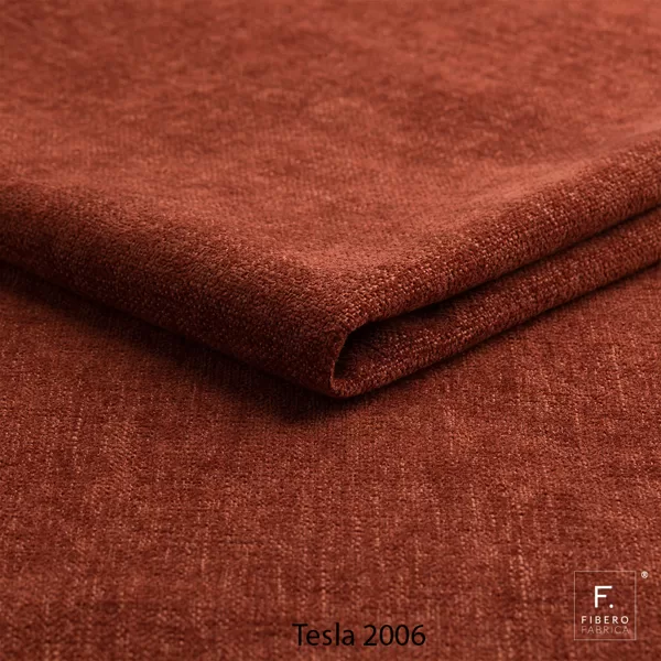 Tesla 2006