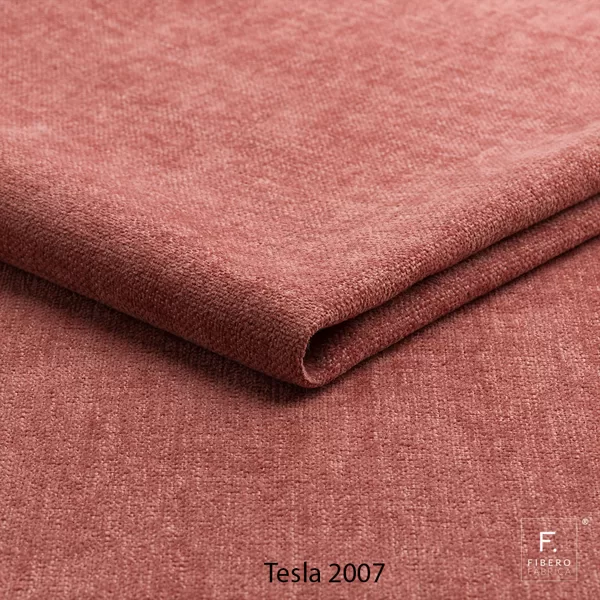 Tesla 2007