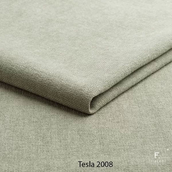 Tesla 2008