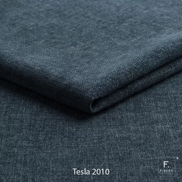 Tesla 2010