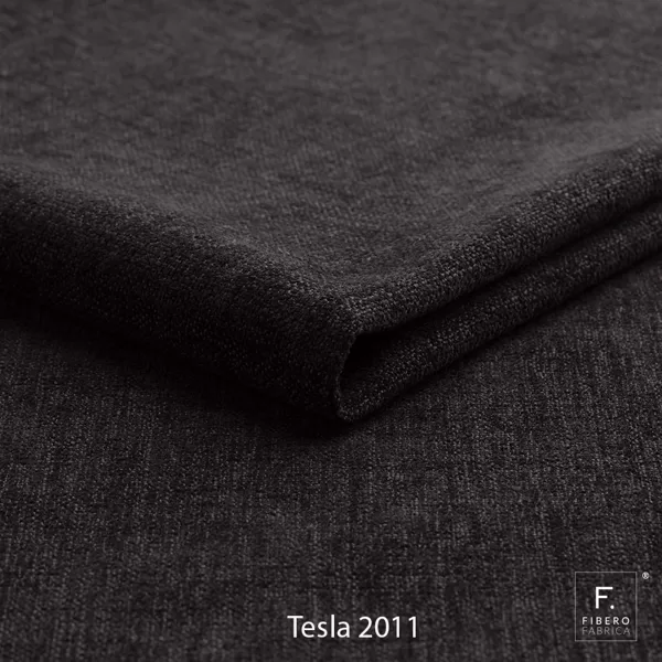 Tesla 2011