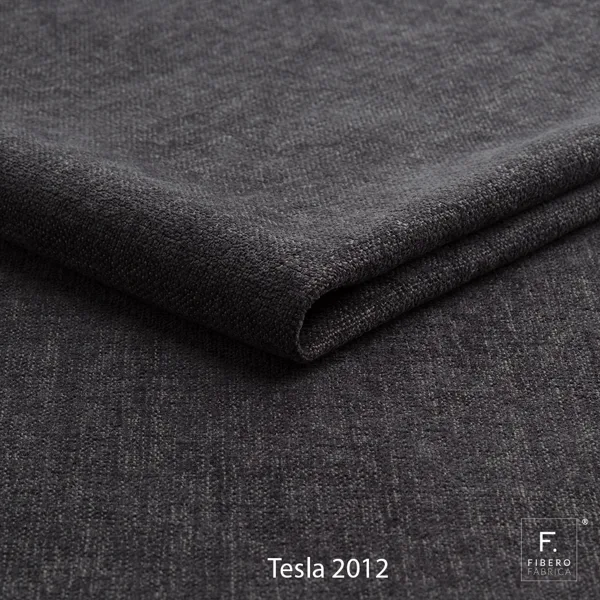 Tesla 2012