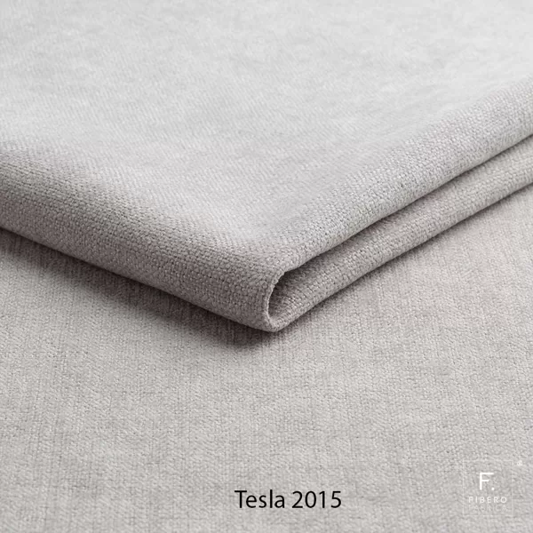 Tesla 2015