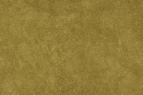 DENERIS 9884