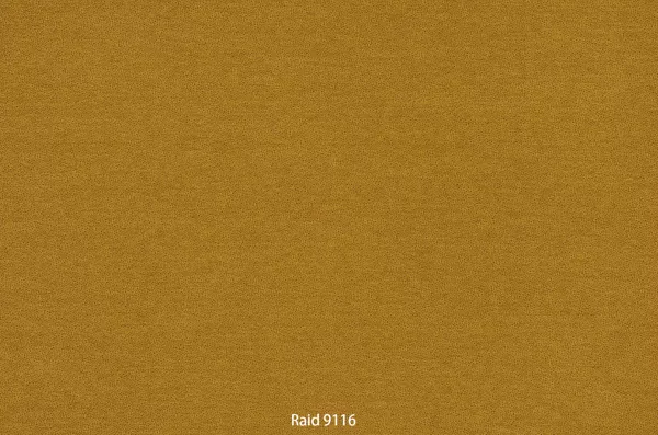 Raid 9116
