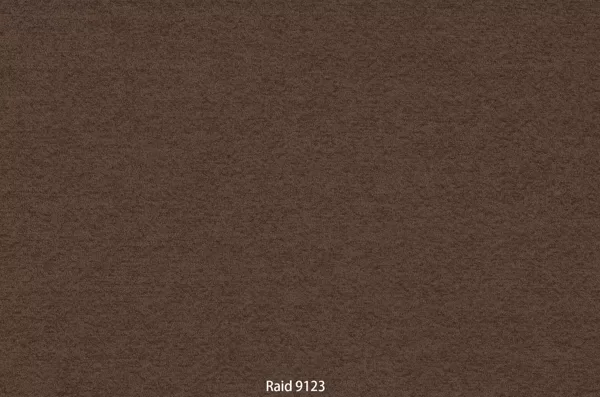 Raid 9123