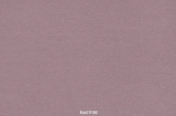 Raid 9180