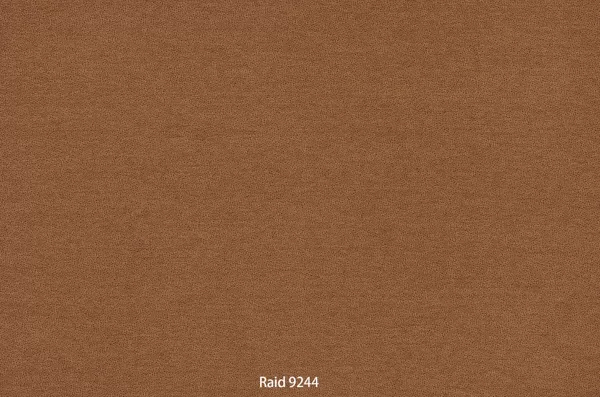 Raid 9244
