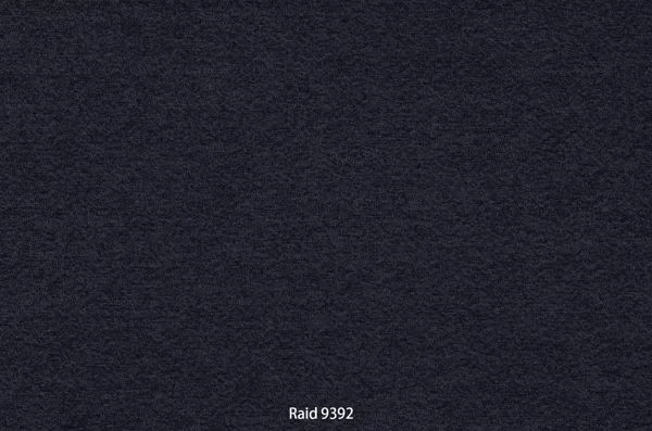 Raid 9392