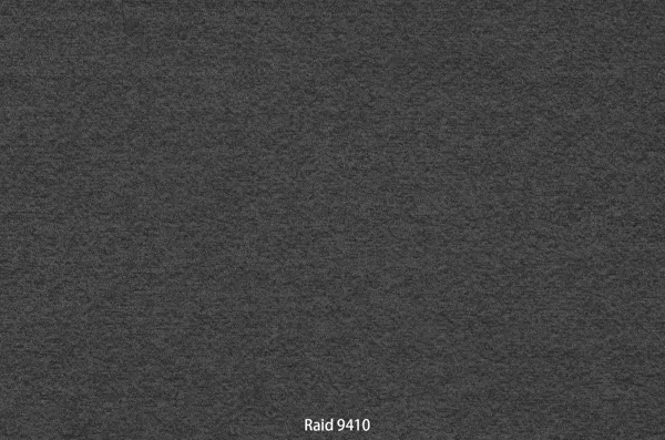 Raid 9410