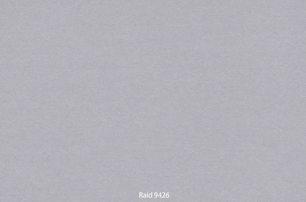 Raid 9426