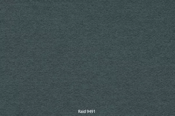 Raid 9491