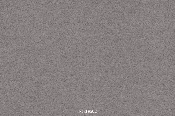 Raid 9502