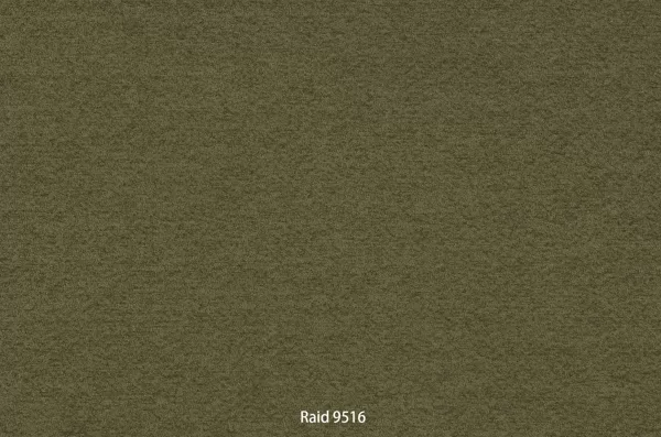 Raid 9516