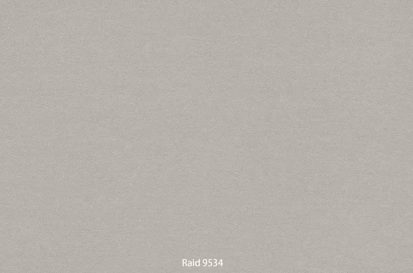 Raid 9534
