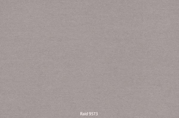 Raid 9573