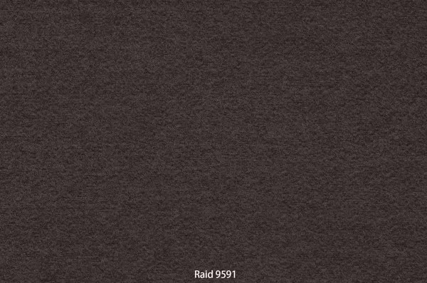 Raid 9591