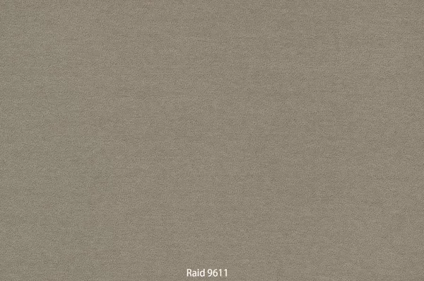 Raid 9611