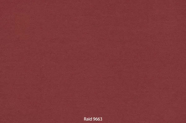 Raid 9663