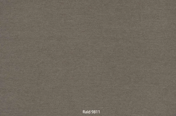 Raid 9811