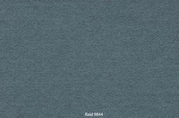 Raid 9844