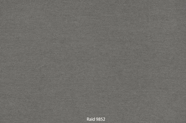 Raid 9852