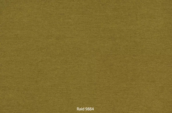 Raid 9884