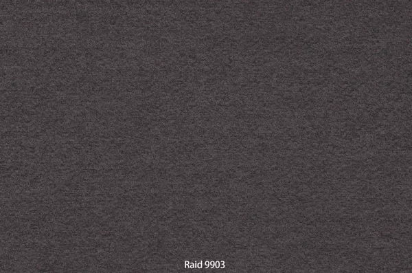 Raid 9903