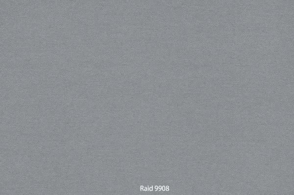 Raid 9908