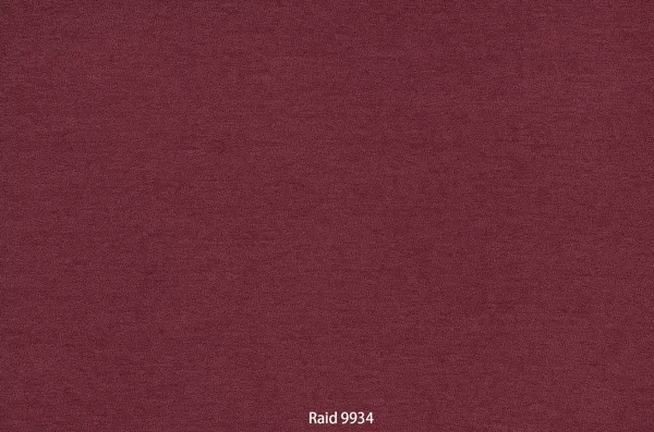 Raid 9934