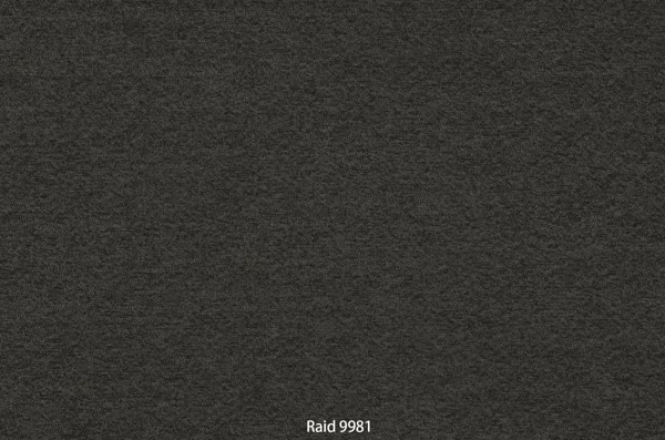Raid 9981