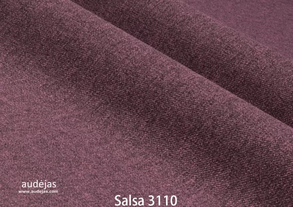 Salsa 3110