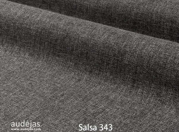  Salsa 343