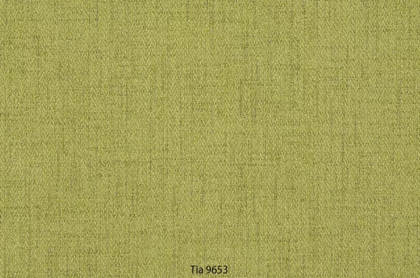 Tia 9653