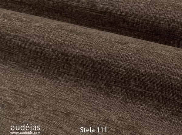 Stela 111